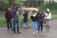 Med iskanjem papeža v veliki igri (Avtor: Marko Dečman) Skofijafest 2014 02