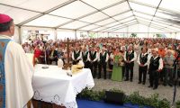 Slovesno bogoslužje na praznik Marijinega vnebovzetja v Petrovčah (Foto: Tone Tavčer) Petrovce VS 2016 10
