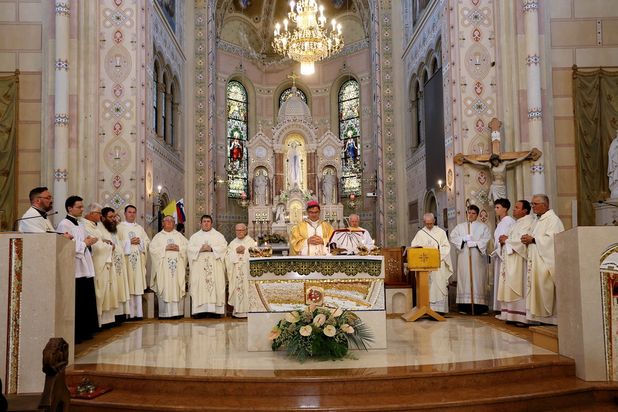 Brestanica romanje bolnikov 2026 (10)